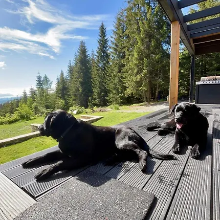 Merlin - Statiunea Muntele Baisorii Ferienhaus *