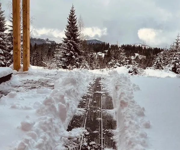 Merlin - Statiunea Muntele Baisorii Holiday home *