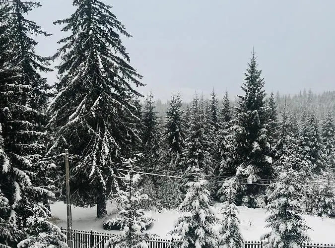 Merlin - Statiunea Muntele Baisorii Дом отдыха