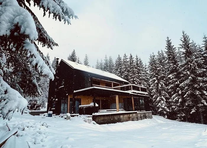 Дом отдыха Merlin - Statiunea Muntele Baisorii *