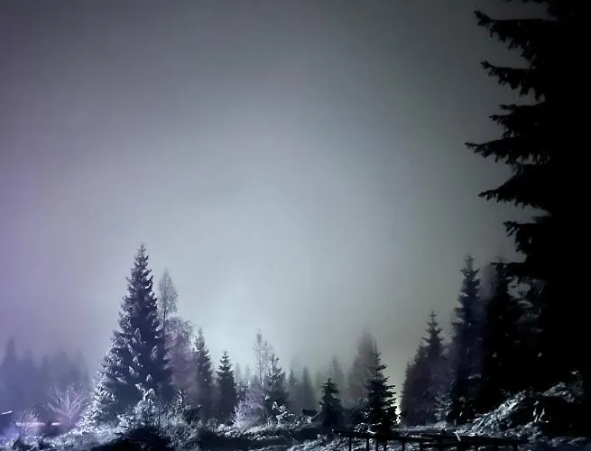 Merlin - Statiunea Muntele Baisorii *