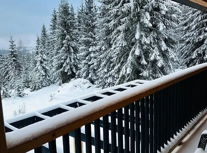 Merlin - Statiunea Muntele Baisorii Holiday home Cluj-Napoca