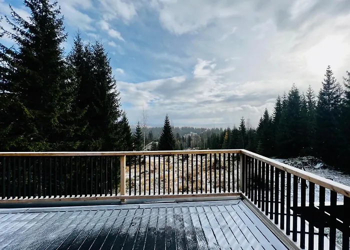 Merlin - Statiunea Muntele Baisorii Holiday home *