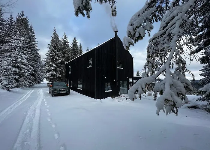 Holiday home Merlin - Statiunea Muntele Baisorii