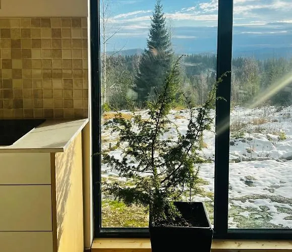 Merlin - Statiunea Muntele Baisorii Клуж-Напока