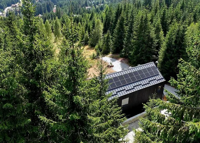 Merlin - Statiunea Muntele Baisorii Holiday home