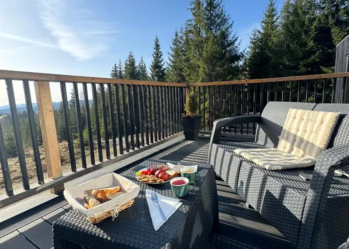 Merlin - Statiunea Muntele Baisorii Holiday home *